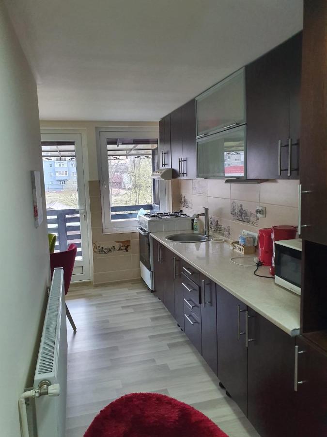 Villa Coca Kimpulung Mołdawski Zewnętrze zdjęcie